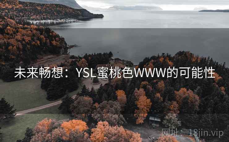 未来畅想：YSL蜜桃色WWW的可能性