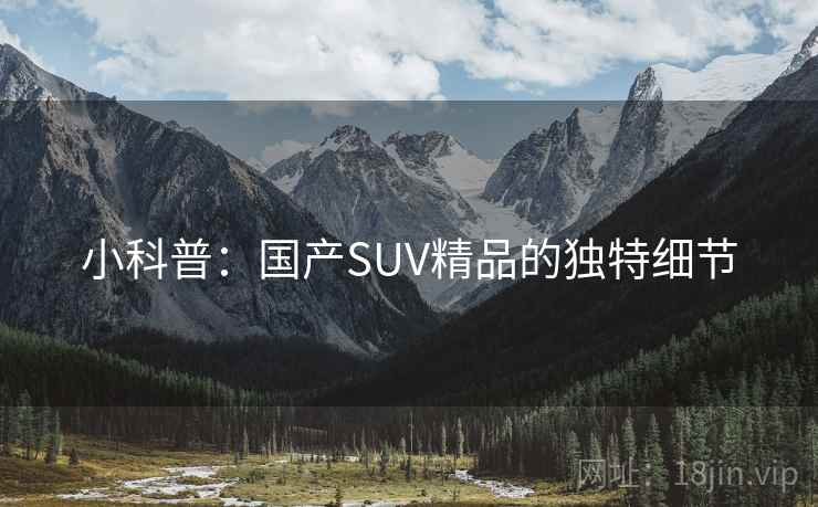 小科普：国产SUV精品的独特细节