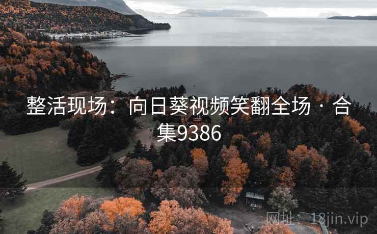 整活现场：向日葵视频笑翻全场 · 合集9386